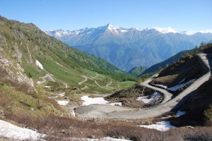colle finestre