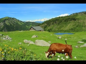 Quali strategie per valorizzare i territori alpini? Se ne parla martedì a Pinerolo al salone dei Cavalieri