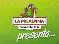 Prealpina-VOLANTINO-PROMO-banner300x250px