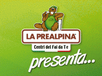 Prealpina-PROMO-GIUGNO-comeedove-it-banner300x250px