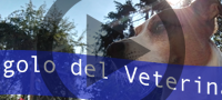 angolo_veterinario_banner