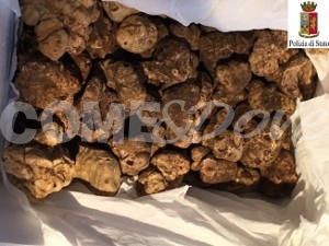 tartufi