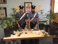 Villafranca trovata serra di marijuana in un alloggio