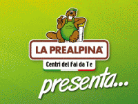 Prealpina-PROMO-NOVEMBRE-2017-comeedove-it-banner300x250px