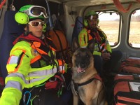 Sugli elicotteri del 118 operativi i cani da Valanga del Soccorso Alpino