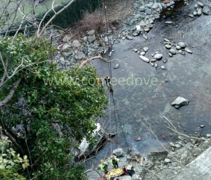 incidente perrerro web