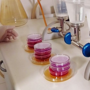 laboratorio_analisi