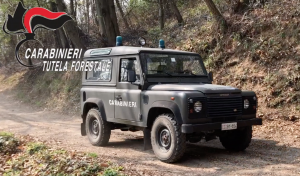 carabinieri forestale
