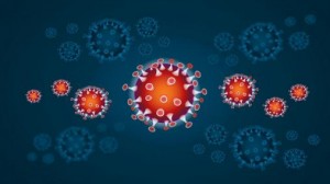 coronavirus4_interno