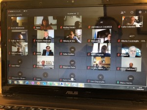 Una parte delle schermate degli oltre 50 partecipanti al primo incontro in videoconferenza.