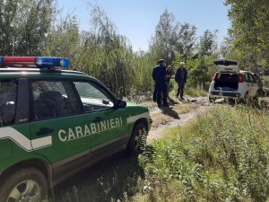 Il luogo dove è stato ucciso il cane 