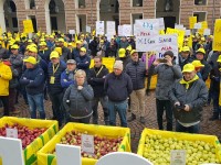 La protesta dei coltivatori di mele è arrivata davanti alla prefettura di Torino