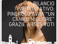 Bilancio partecipativo di Pinerolo: vince il progetto che migliorerà il canile