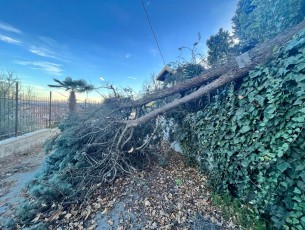 FOTO | Pinerolo danni per il vento