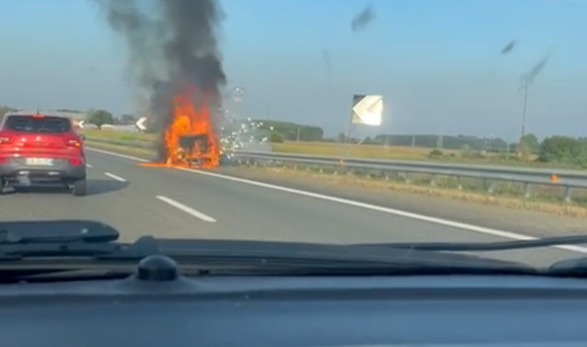 IMG_7008