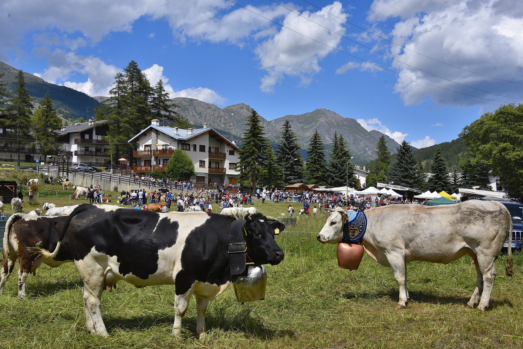 Miss Mucca_Pragelato _repertorio_1