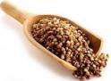 grano