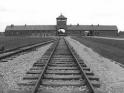 Incontro con Andra e Tatiana Bucci: le ultime bambine di Auschwitz