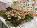 FUNGHI SAN PIETRO
