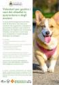 cercasi volonatri per cani