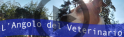 angolo_veterinario_banner