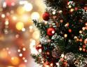 albero-di-natale-con-decorazioni-su-uno-sfondo-bokeh-luci_1048-3370