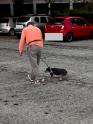 Attenzione i controlli scattano anche se il cane non ha sporcato