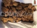 tartufi