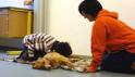 pet therapy