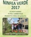ninfea verde