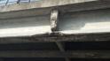 IMG-20190128-WA0002 (1)
