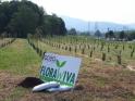 COMPOST PARCO STURA