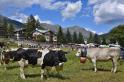Miss Mucca_Pragelato _repertorio_1