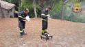 Nella foto di repertorio un drone dei vigili del fuoco