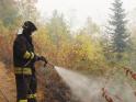 incendio_tre_denti_bosco