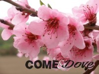 Previsti fino a 10 gradi in meno nel week-end