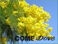 “8 marzo e dintorni”