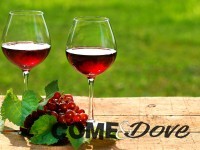 Pinerolo, degustazione vini di tutte le regioni italiane