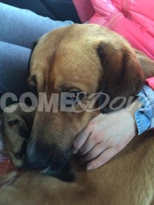 12919925_1101966549867674_5817219989194532177_n