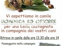 Castagnata a 4 zampe