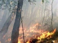 Cumiana bruciano i boschi, estesa la fascia di rispetto entro la quale ci sono i divieti