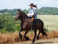 Route d’Artagnan: domani la sfilata di cavalli e carrozze