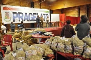 SAGRA PATATA