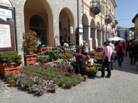 Fiori e Sapori: record di espositori e visitatori