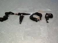 33030553_941369959374410_2122869357930348544_n