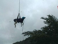Salvataggio di una mucca ( foto di repertorio)