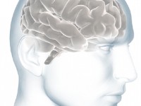 Pinerolo è una città che vuole aiutare i malati di Alzheimer. In Italia sono un milione