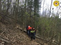 Travolto un boscaiolo dall’albero che stava tagliando