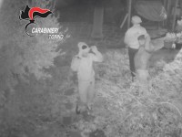 Arrestati dai carabinieri di Pinerolo i ladri che fotografavano le loro vittime che dormivano