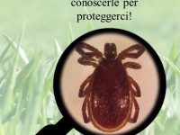 I consigli dell’ ASL su come difendersi dalle zecche